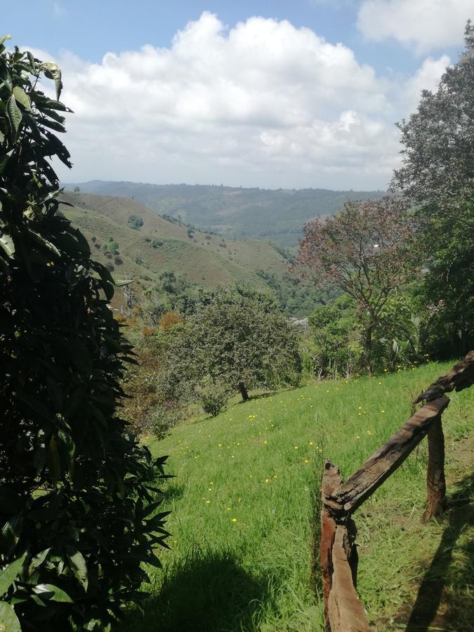 Ecorefugio Las Mirlas 살렌토 외부 사진