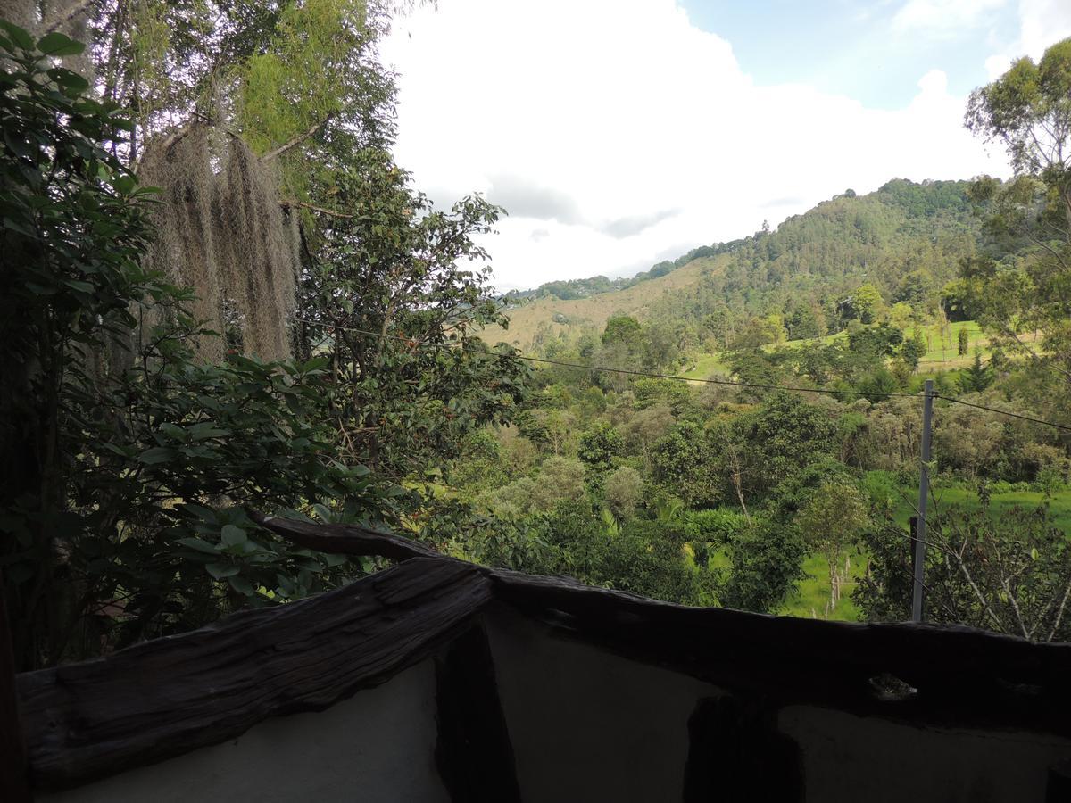 Ecorefugio Las Mirlas 살렌토 외부 사진