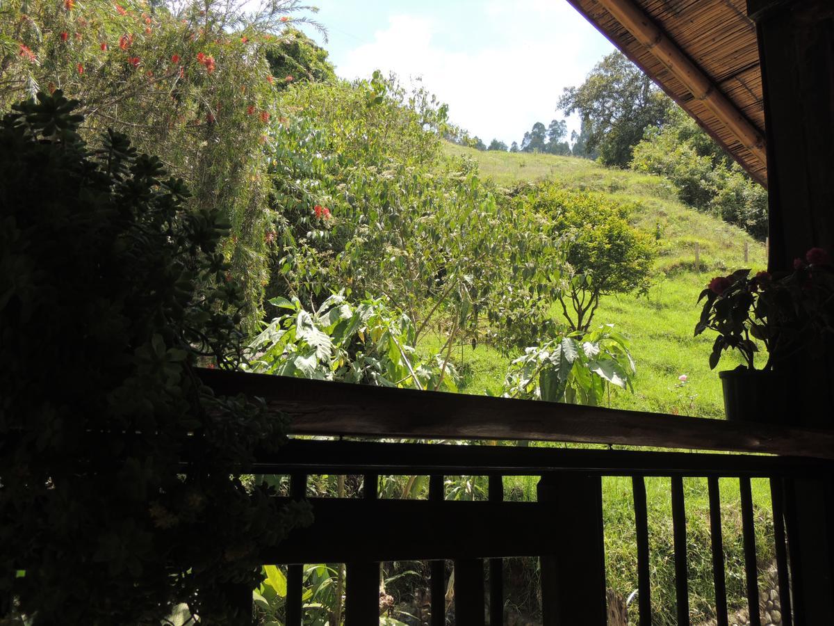 Ecorefugio Las Mirlas 살렌토 외부 사진